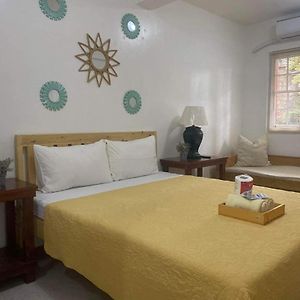 Superior Twin Room Garden View